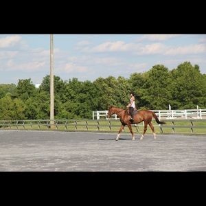 Meet your Posher, Ling